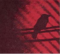 Thee Silver Mt Zion Memorial Orchestra - Born Into Trouble As The Sparks Fly Upward [VINYL]