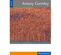 theEYE - Antony Gormley