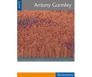 theEYE - Antony Gormley