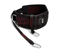 THEFITGUY Ultimate Dip Belt | Secure Closure - No Sliding Down | Structured Back Support | 45-Angle Rings - Comfort Dip Position | 40” Strap & 2 Snap Hooks - for Dips, Pull-Ups, Squats, Weight Lifting