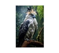 THEGIS Harpy Eagle Bird Tropical Jungle Birds Canvas Poster Wall Art Decor Print Picture Paintings for Living Room Bedroom Decoration Unframe-style 20x30inch(50x75cm)