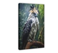 THEGIS Harpy Eagle Bird Tropical Jungle Birds Canvas Poster Wall Art Decor Print Picture Paintings for Living Room Bedroom Decoration Frame-style 24x36inch(60x90cm)