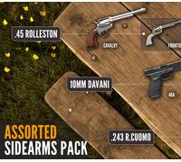 theHunter: Call of the Wild - Assorted Sidearms Pack DLC PC Steam CD Key