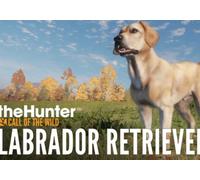 theHunter: Call of the Wild - Labrador Retriever(DLC) (PC) Steam Gift - EU