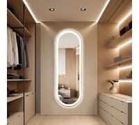 TheiaMo 65"×22" Full Body Dressing Mirror with LED Light,Wall Mounted Oval Full Length Framed Mirror,Ultra-Clear Frontlit Vanity Mirror Dimmable White/Warm/Natural,CRI90+,Shatter-Proof,Gold
