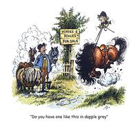 Thelwell Horse riding greeting card. Dapple Grey. Fun cartoon