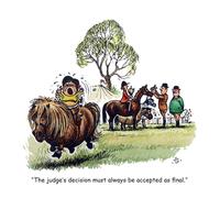 Thelwell Judges Decision Greeting Card -