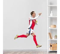Themed Arsenal FC Wall Sticker - Martin Odegaard 24-25 Illustration + AFC Decals (90cm height x 70cm width)