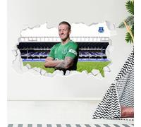 Themed Everton FC Wall Sticker - Pickford 23/24 Broken Wall (60cm width x 35cm height)