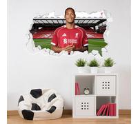 Themed Liverpool Wall Sticker - Virgil van Dijk 25/26 Broken Wall (120cm width x 65cm height)