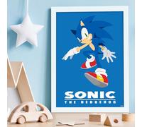 Themed Sonic The Hedgehog Print - Sonic Colour Block Poster Wall Art (29.7cm x 42cm - A3)