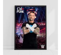 Themed WWE Print - CM Punk Crowd Poster Wrestling Wall Art (29.7cm x 42cm - A3)