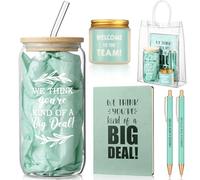 Thenshop 6 Pcs Welcome to the Team Gifts Bulk for New Employee Inspirational Glass Tumbler Notebook Pens Scented Candle with PVC Bag Employee Appreciation Gift Set for New Coworker Office (Sage Green)