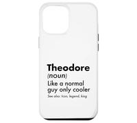 Theodore Like A Normal Guy Only Cooler Legend King First Case for iPhone 12 Pro Max