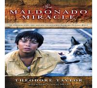 Theodore Taylor The Maldonado Miracle (1-Simul) Paperback Book Theodore Taylor Multicolor