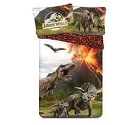 Theonoi 2-piece bed linen set, reversible bed linen, 135 x 200 cm, 80 x 80 cm, cotton, children's bed linen, Oeko-Tex Standard, German standard size, T-Rex dinosaur (Jurassic)