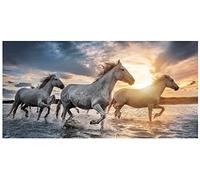 Theonoi Children's Horse Bath Towel, 100% Cotton, 70 x 140 cm