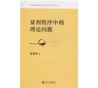 theoretical issues in the sentencing process(Chinese Edition)