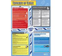 Theories of Crime | Sociology Posters | Laminated Gloss Paper measuring 850mm x 594mm (A1) | Sociology Class Posters | Education Charts by Daydream Education