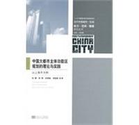 Theory and Practice of Chinese metropolis of the main functional area planning(Chinese Edition)