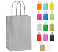 Thepaperbagstore 15 Silver Paper Party Bags With Handles - Colourful Paper Gift Bags for Kids and Adults Parties, Birthdays, Weddings, Baby Showers, Hen Parties and Sweets 14x21x8cm