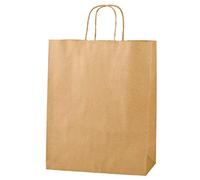 Thepaperbagstore 20 Brown Medium Paper Bags with Twisted Handles - 25x11x31cm - Kraft Paper for Gifts, DIY, Party, Shopping, Retail, Grocery, Wedding, Birthday and Takeaway