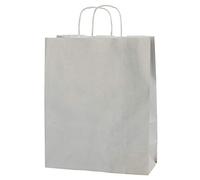 Thepaperbagstore 20 Light Grey Medium Paper Bags with Handles - 25x11x31cm - Colourful Paper Gift Bags for Adults and Kids - for Shopping, Party, Birthdays and Weddings