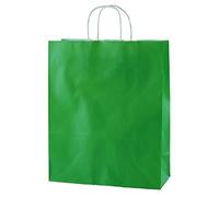 Thepaperbagstore 25 Green Medium Paper Bags with Handles - 25x11x31cm - Colourful Paper Gift Bags for Adults and Kids - for Shopping, Party, Retail, Birthdays and Weddings