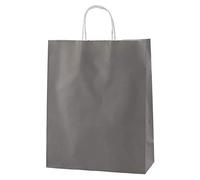 Thepaperbagstore 25 Grey Medium Paper Bags with Handles - 25x11x31cm - Colourful Paper Gift Bags for Adults and Kids - for Shopping, Party, Birthdays and Weddings
