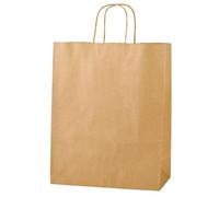 Thepaperbagstore 30 Brown Medium Paper Bags with Twisted Handles - 25x11x31cm - Kraft Paper for Gifts, DIY, Party, Shopping, Retail, Grocery, Wedding, Birthday and Takeaway