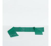 Theraband Medium Resistance Latex Free Exercise Band 5 Feet(Length) x 4 Inches(Width) Green