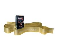 TheraBandTM CLXTM Consecutive Loops - 5' Individual Pre-Cut - Gold/Max
