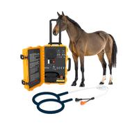 Therapy Device for Horses, Portable Electromagnetic Equipment, Adjustable Energy Intensity, Promotes Bone Health
