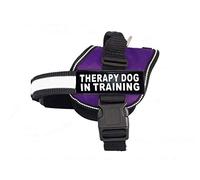Therapy Dog in Training Nylon Dog Vest Harness. Purchase Comes with 2 Reflective Therapy Dog in Training Removable Patches. Please Measure Your Dog Before Ordering (Girth 12-16", Purple)