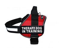 Therapy Dog in Training Nylon Vest Harness, Red, 2 pathces, 14-18"