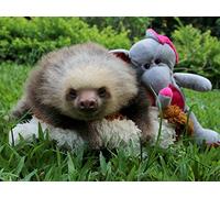 There and Back Again