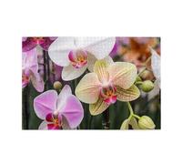 There Are Many Different Colored Flowers1000 Piece Jigsaw Puzzles for Adults, Wooden Jigsaw Puzzle