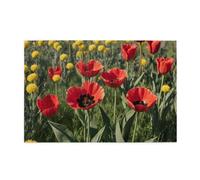 There Are Many Red Flowers InWooden Jigsaw Puzzle Puzzles for Adults 1000 Pieces