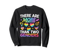 There Are More Than Two Genders LGBTQ Pride Shirt Sweatshirt