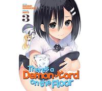 There's a Demon Lord on the Floor Vol. 3 (There's a Demon Lord on the Floor)