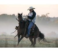 There's No Place Like Home