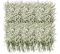 THERESE 100 Pcs Coume Dried Babys Breath Flowers Bouquet Ivory White Real Natural Gypsophila Branches Dry Pressed for Wedding Resin Art Craft DIY Card Making Home Party Decor