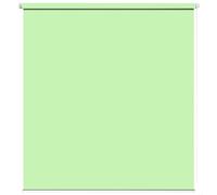 Thermal Blackout Blinds 90 x 150 cm Blinds Curtains, Zebra Roller Window Thermal Insulated,UV Protec, Made to Measure for Indoor/outdoor/garden, Tender Green