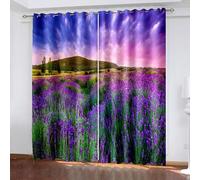 Thermal Blackout Curtains For Bedroom, 40 x 84 Inches Mountains and Lavender Field Light Reducing Thermal Insulated Grommet Panels/Drapes for Living Room, Purple Green Pink