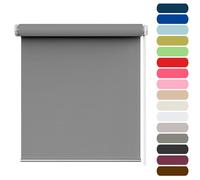 Thermal Blackout Roller Blind 55 x 100 cm Without Drilling, Translucent and Darkening, Blackout Blind Portable, Blackout Blind Portable Blackout Blinds, for any Room, Light Grey