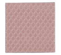 Thermal Grizzly Minus Pad 8 (30 x 30 x 1 mm)