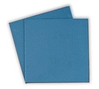 Thermal Grizzly Minus Pad Advance 2 Pack- 100 x 100 x 1.0 mm