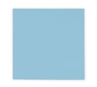 Thermal Grizzly Minus Pad Pro 1 Pack - 100 x 100 x 1.0 mm