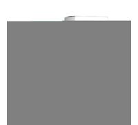 Thermal Paper Corrector - Fast-Dry White Fluid, Anti-Leakage Ink, Compact Correction Pen | Effective Privacy Protection Tool for Thermals Sensitive Papers Shipping Address Personal Data Information