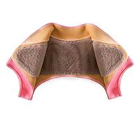 Thermal Shoulder Pads Jacket,Shoulder Support Thickened Shoulder Shawl,Neck and Shoulder Warmer,Throw with Buttons,Ladies Bed Jackets Uk for the Elderly,Elderly Gifts I,2XL(80-100kg)